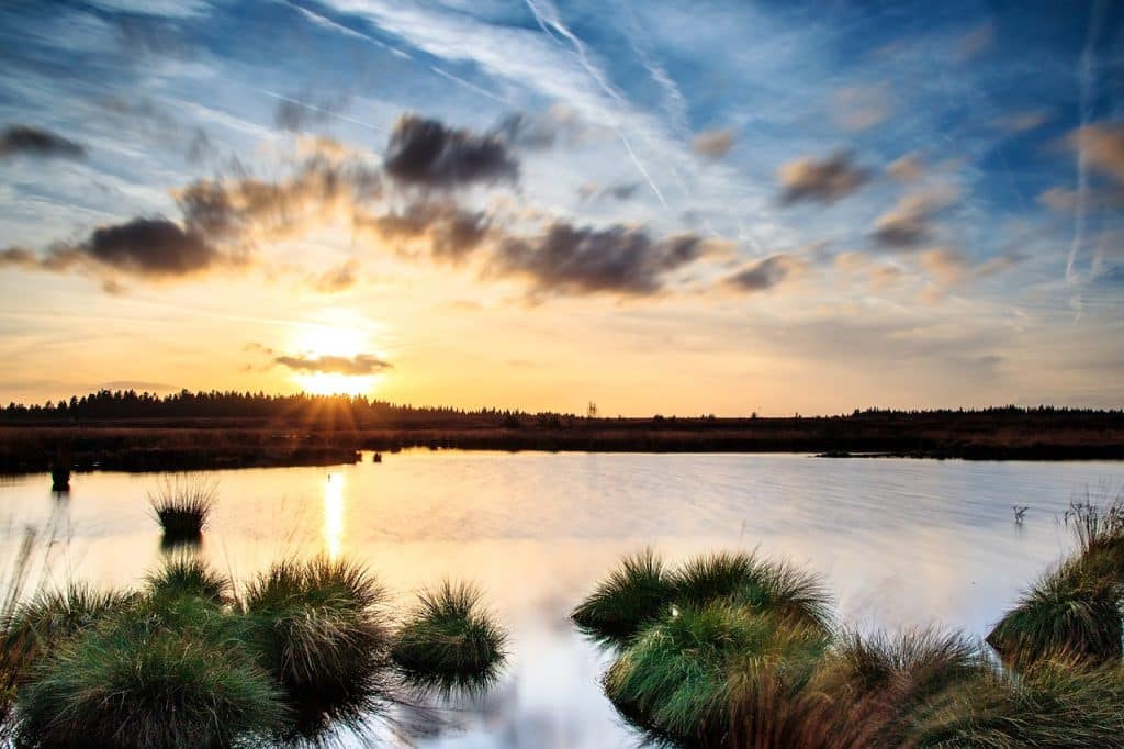 Een sereen landschap met een zonsondergang boven een rustig waterlichaam met een paar grasachtige plukjes die uit het oppervlak komen. De lucht is, net als de matchmaker van de natuur, versierd met verspreide wolken die warme tinten oranje en geel reflecteren en een serene gloed over het tafereel werpen.