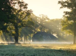 Boerderij