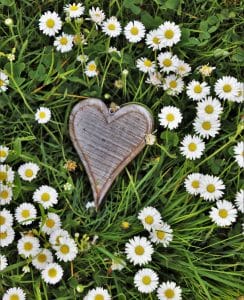 hart gras bloemen